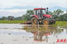 道县：机械闹春耕 早稻栽插忙