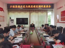 李天明调研乡镇集镇开发与提质建设工作