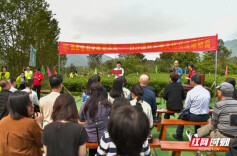 逛茶厂、采青茶、做黑茶 海峡两岸媒体沉浸式体验黑茶生产