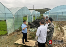 蒋剑督导春耕生产和蔬菜产业发展情况