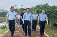 山西省人大常委会来云溪区调研乡村振兴工作