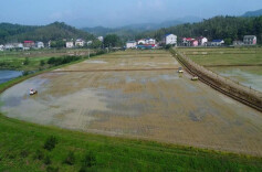 五里牌街道：高标准农田里话春耕