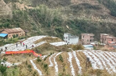 新田：党建聚合力 产业促振兴