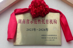 新田：一托育机构入选湖南省首批示范性托育机构