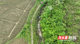 永州冷水滩：打好备汛“组合拳” 筑牢防汛“安全堤”