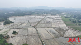 道县：“小田”变“大田” 春耕换新颜