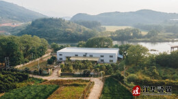 江华：新质引领 推动茶产业上“新”