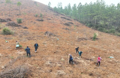 道县践行绿色发展 做好植绿增绿文章