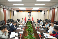 王启武主持召开部分意向性招商项目工作推进情况汇报会