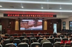 观摩学习拓思路  乡村振兴再赋能