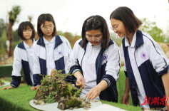 湖南道县：多彩校园劳动课