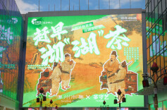 湖南首个春茶古风市集，带你穿越千年品春茶