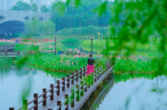 长沙县：碧水蓝天尽诗意 目之所及皆风景