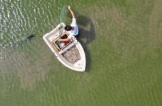 江南镇：“稻稻虾”种养助农增收