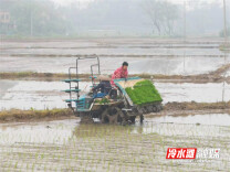冷水滩：深化农业社会化服务 为乡村振兴贡献力量