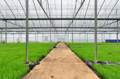 道县：闲置设施再利用 一棚多用巧助农