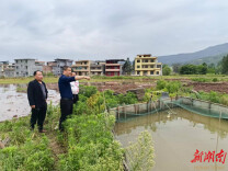 道县乐福堂镇：持续抓好当前重点工作