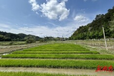 通道：推进“三湘护农” 护航春耕备耕