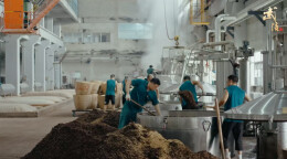 将春光酿进美酒 武陵酒“黄金轮次”出酒