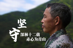 视频丨护林员尹帮华：坚守深林十二载 赤心为青山