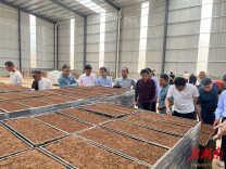 外出学习拓视野，凝心聚力谋发展