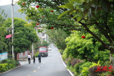 通道：持续推进人居环境整治 加快提升美丽乡村“颜值”