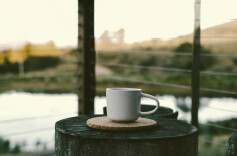 做个乐天派，过好每一天