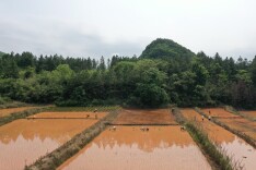 新田：  因地制宜施良策 高岸田里种满粮