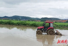 道县梅花镇：开展生产自救掀起扯秧插田高潮（组图）