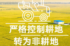 沅陵贴身监督守住耕地红线