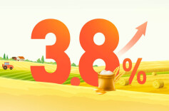 尺素金声 | 3.8%有厚度，掂掂“土特产”的含金量