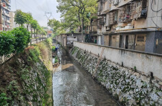 雨湖区楠竹山镇：做实“三个监督”提升巡察整改实效