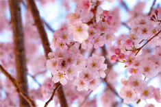 今天，我们想给冷水滩的春天留下一些回忆