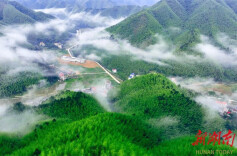 双牌全竹产业链“战舰”扬帆远航