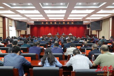 全县党务工作会议召开 覃歇民出席并讲话