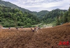 陇城镇：“连村联创”聚发展合力 “抱团发展”促农民增收