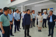 省人大常委会副主任陈飞率队来云溪区调研