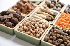 株洲市食品药品检验所参编的《中国种子中药材鉴定研究图典》正式出版