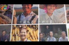 “三湘四水 相约湖南”：一生一梦，风吹稻香