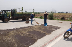 江南好“丰”景  油菜收割忙