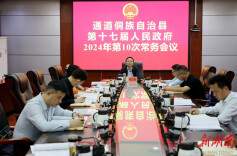 县政府召开常务会议 田刚主持