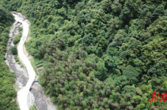 道县：深化国有林场改革 筑牢生态保护屏障