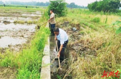 道县蒋莫村：干群齐心抢修水渠确保农田用水畅通（组图）