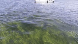 益阳：调研监督拯救“洞庭之心”