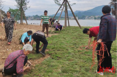辰溪县柿溪乡傅家湾村：由“荒”到“绿” 乡村面貌焕“新颜”