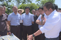 市领导来澧调研督办重点代表建议