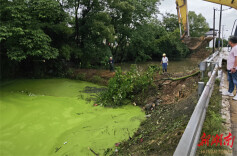 乡镇丨蔡市镇：清理沟塘河渠 提升人居环境