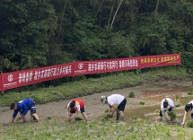 湘乡农商银行：金融助农暖心田