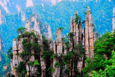 【天人共酿 馥郁香】酒鬼酒：藏在湘西生态里的馥郁酒魂