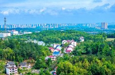 人居环境提档升级 和美北塔常靓常新